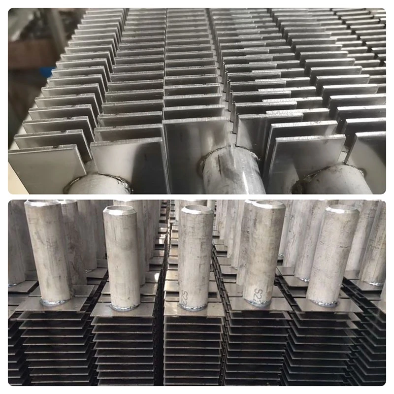 product-800-800 product-800-800